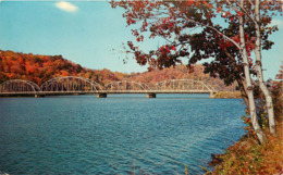 Etats-Unis - West Virginia - Morgantown - Cheat River Bridge - état - Morgantown
