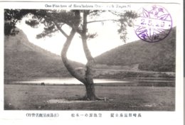 One Pinetree Of Soraikehara Park - Nakasaki - Japan -  Von 1929 (4112) - Hiroshima