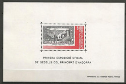 ANDORRE BLOC N° 1 NEUF** LUXE SANS CHARNIERE / MNH / - Blocks & Sheetlets