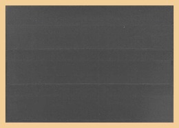 100x KOBRA-Einsteckkarten, Grau Rückseite Nr. K3G - Verzamelmapjes