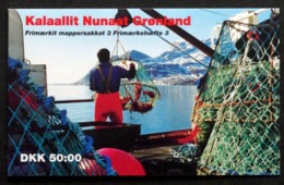 Greenland 1993  Booklet.MH 3.  Minr.  ( O ) ( Lot  MAPPE  ) - Carnets