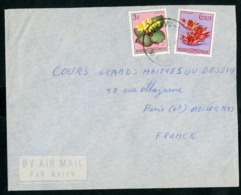 CONGO BELGE "BUKAVU-1-L 9/3/57" Sur N° 314 + 317. Sur Enveloppe Par Avion Pour La France. - Covers & Documents