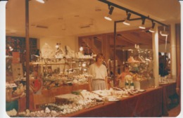 Bad Salzuflen - Rocks And Minerals Exhibition Museum Unused (real Photo, Postcard Size) - Bad Salzuflen