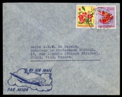 CONGO BELGE "JADOTVILLE A 9/11/53" Sur N° 310 + 317. Sur Enveloppe Par Avion Pour La France. - Covers & Documents