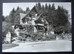 SIHLBRUGG STATION Hotel Rest. Waldhaus - Wald