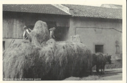 10X15  Fenaison  Dans Les Années 1940-45 - Metz Campagne