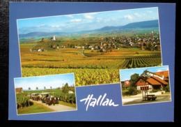 HALLAU Klettgau Weinbau Familie Keller Werbung Pferdefahrten - Hallau