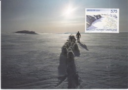 Groenland 2000, N°324, Sur Carte Avec Traineau Et Chiens ( 191107/005) - Lettres & Documents