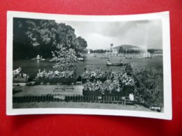 Großschönau - Waldstrandbad Freibad Ruderboot - Görlitz - Echt Foto DDR 1956 - Kleinformat - Grossschoenau (Sachsen)