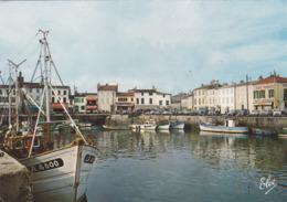 ILE De RE : La Flotte - Le Port  -  CPSM 10x15 - Ile De Ré