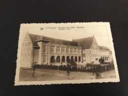 Beernem : Sint-Amandusgesticht, Broeders Van Liefde : Paviljoen H. Maria   - Foto J. Buyens - Beernem