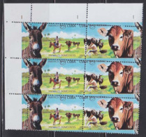 CUBA 2018 Farm Animals Donkey Cows Milk 6-BLOCK ERROR:perf - Donkeys