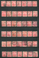 BRESIL- Lot De 42 Timbres Y&T N°131- Oblitérés - Collections, Lots & Séries