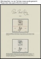 SONSTIGE MOTIVE **, Postfrische Sammlung Rubens - Philatelistische Dokumentation, Herausgegeben Zum 400. Geburtstag Pete - Ohne Zuordnung