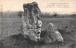 PIE-Z AR-19-1433 : SAINT-PIAT PRES MAINTENON. EURE ET LOIR. MONUMENT DRUIDIQUE. - Dolmen & Menhirs