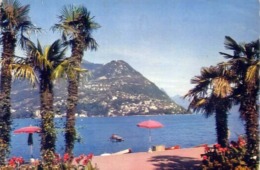 Lugano - Paradiso - Vista Su Castagnola E Monte Bre - Formato Piccolo Viaggiata Mancante Di Affrancatura – E 14 - Paradiso