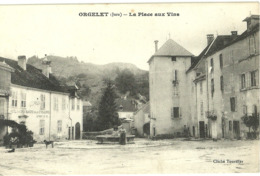 Orgelet La Place Aux Vins - Orgelet