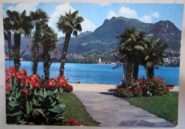 Lugano  Paradiso SVIZZERA Cartolina  Viaggiata 1974 - Paradiso