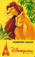 FRANCE 1995     Disneyland    Passeport Adulte Valide Du 24.06.95 Au 25.06.95 - Disney Passports