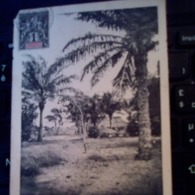 COLONIE DU DAHOMEY PAYSAGE COTONOU 11/1/1907 - Cartas & Documentos