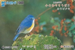 Carte Japon - Animal - Série OISEAUX 3/5 - OISEAU - GOBEMOUCHE - FLYCATCHER BIRD Japan Metro Card - 4500 - Songbirds & Tree Dwellers
