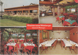 AK Oestrich Winkel Rheingau Molsberger S Rheinterasse A Hattenheim Hallgarten Johannisberg Geisenheim Eltville Ingelheim - Oestrich-Winkel