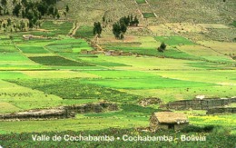 URMET PATENT - BOLIVIA - COCHABAMBA VALLEY - MINT - Bolivia