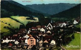 CPA AK Bad Teinach- GERMANY (908196) - Kaiserstuhl