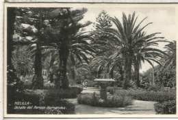 MELILLA PARQUE HERNANDEZ SIN ESCRIBIR - Melilla