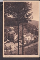 Bad Rippoldsau 1911 ? - Bad Rippoldsau - Schapbach