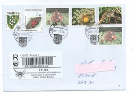 Czech Republic 2019 - Nice Czech Naturlist And Entomologist Dr. Baum, Special Registered Label, Spec.cupon - Spinnen