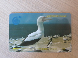 GPT Phonecard, 4CASA Sea Birds, Mint - Ascension