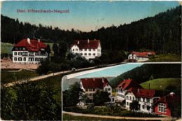 CPA AK Nagold Bad Rotenbach GERMANY (934468) - Nagold