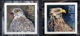 2019 Iceland Europa Birds Full Set Of 2 Self Adhesive MNH - Markenheftchen