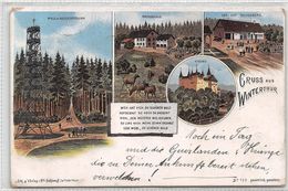 Gruss Aus Winterthur - Wald Aussichtsthurm - Bruderhaus - Der Hof Eschenberg - Litho - 1898 - Wald