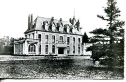 N°78375 -cpsm Nançay -château Du Haut Boulay- - Nançay