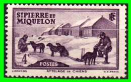 SAN PIERRE Y MIQUELON AÑO 1938 MOTIVOS LOCALES - Unused Stamps