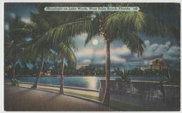 LAKEWORTH WEST Palm Beach FL Moonlight View Palm Trees Postcard 1940s Linen - West Palm Beach