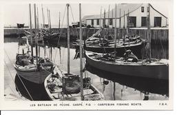 Les Bateaux De Pêche, Gaspé, Québec  (9118) - Gaspé