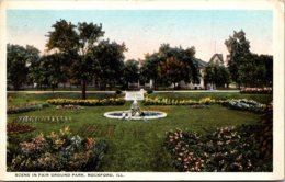 Illinois Rockford Scene In Fair Ground Park 1922 - Rockford