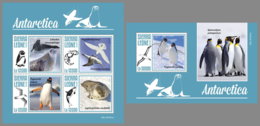 SIERRA LEONE 2019 MNH Antarctica Animals Tiere Der Antarktis Animaux De Antarctique M/S+S/S - IMPERFORATED - DH1948 - Antarktischen Tierwelt