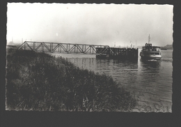 Kruibeke, Hoboken - Overzetdienst - Echte Foto - Kruibeke