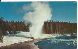 YELLOWSTONE NATIONAL PARK    ( ETATS-UNIS  )   A WINTERTIME VIEW OF RIVERSIDE GEYSER - Other & Unclassified