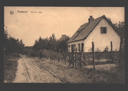 Rijmenam - Rue St. Jean - 1925 - Uitg. Thys, Hôtel Des Sapinières, Rijmenam - Bonheiden