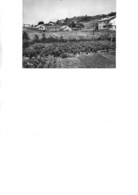 BELFAHY -HTE SAONE - LES LANCIENS -CARTE PHOTO ANNEE 1963 - Andere & Zonder Classificatie