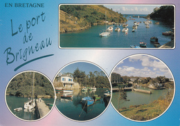 29  MOELAN Sur MER   Le Port De BRIGNEAU - Moëlan-sur-Mer