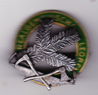 BADGES AUSTRIA-SILVER-FORESTER-FUR-25-DEINSTJAHRE-SEE-SCAN - Austria