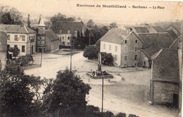 ENVIRONS DE MONTBELIARD SOCHAUX LA PLACE - Sochaux