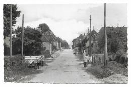 CPSM MONT SOUS VAUDREY, RUE PRINCIPALE, Format 9 Cm Sur 14 Cm Environ, JURA 39 - Otros & Sin Clasificación