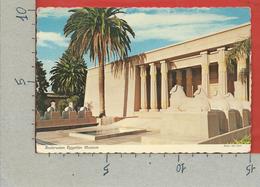CARTOLINA VG STATI UNITI - SAN JOSE - Rosicrucian Egyptian Museum - CALIFORNIA - 10 X 15 - 1976 - San Jose